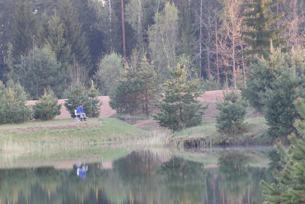 Villa Viesu Maja Forrest Dzimtmisa Exterior foto