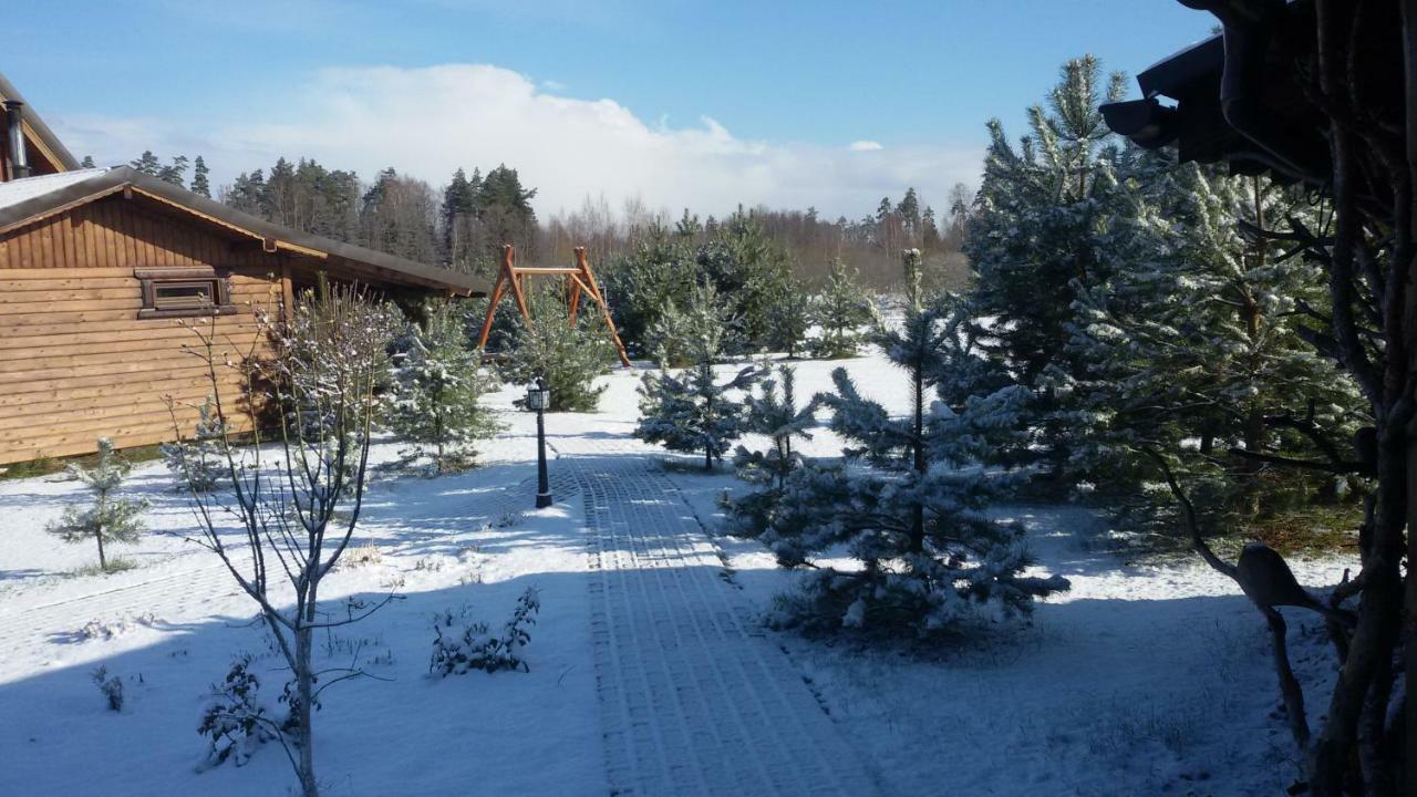 Villa Viesu Maja Forrest Dzimtmisa Exterior foto