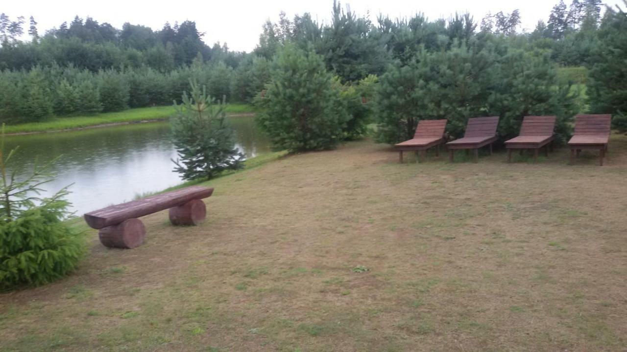 Villa Viesu Maja Forrest Dzimtmisa Exterior foto